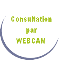 Consultation par webcam